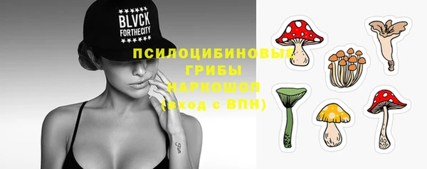 a pvp Арсеньев