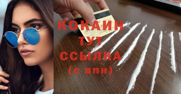шишки Алексин
