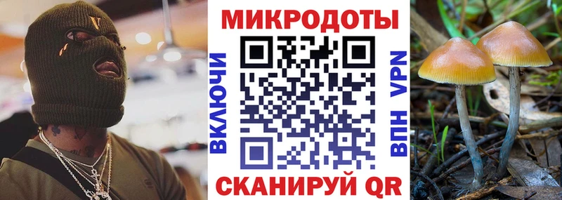 где купить   Хотьково  ОМГ ОМГ онион  Галлюциногенные грибы MAGIC MUSHROOMS 